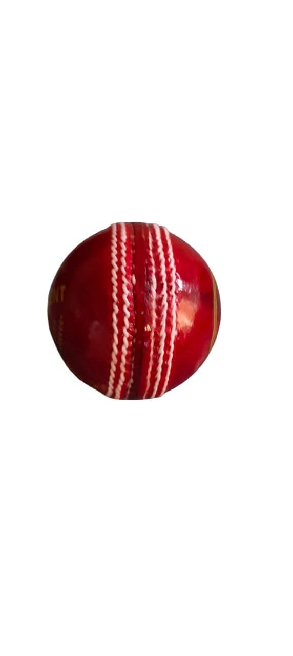 TNS T-20 Grade A Quality Cricket Leather Ball 4 Piece Leather Ball – Pack of 1,White